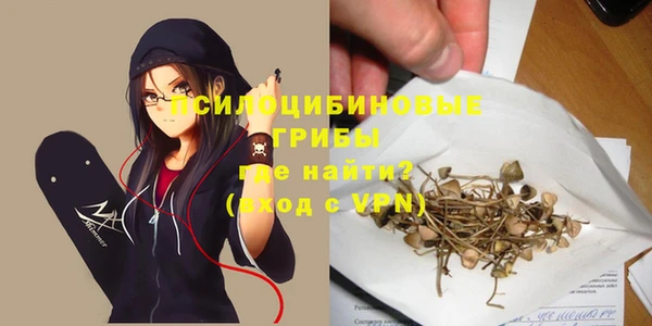 Альфа ПВП Алексин