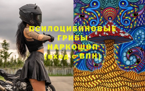 спиды Алзамай