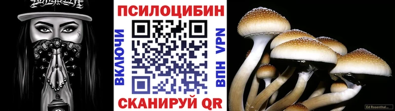 Псилоцибиновые грибы мицелий  продажа наркотиков  Байкальск 